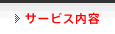 �T�[�r�X���e