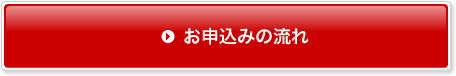 ���\���݂̗���