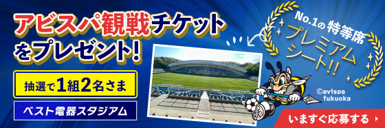 アビスパ福岡 観戦チケット