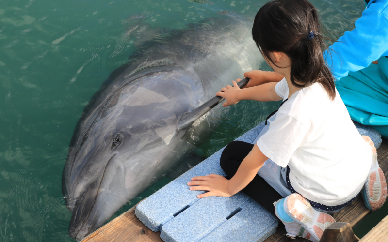 画像：天草パールガーデン＆海中水族館シードーナツ