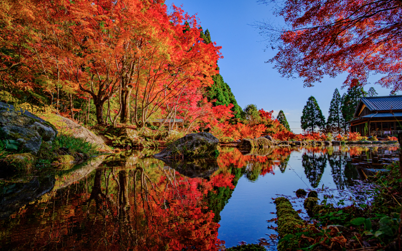 画像：環境芸術の森