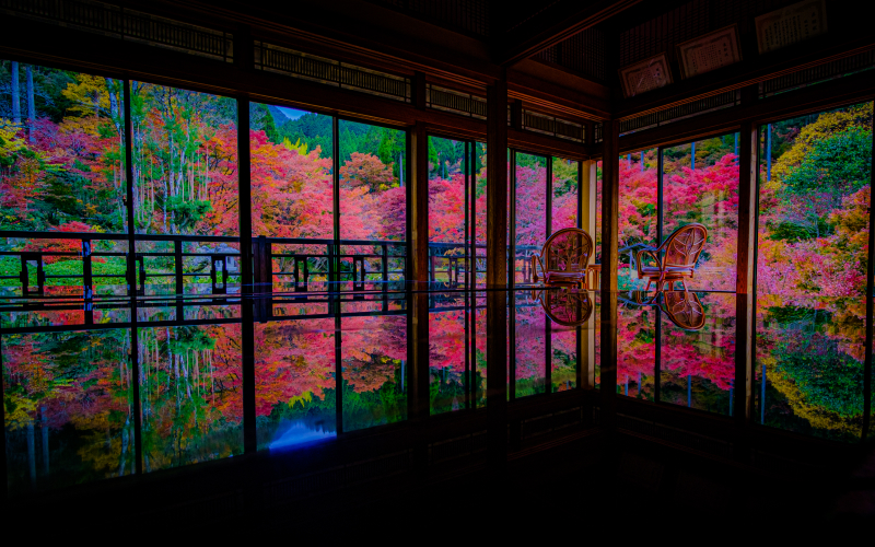 画像：環境芸術の森