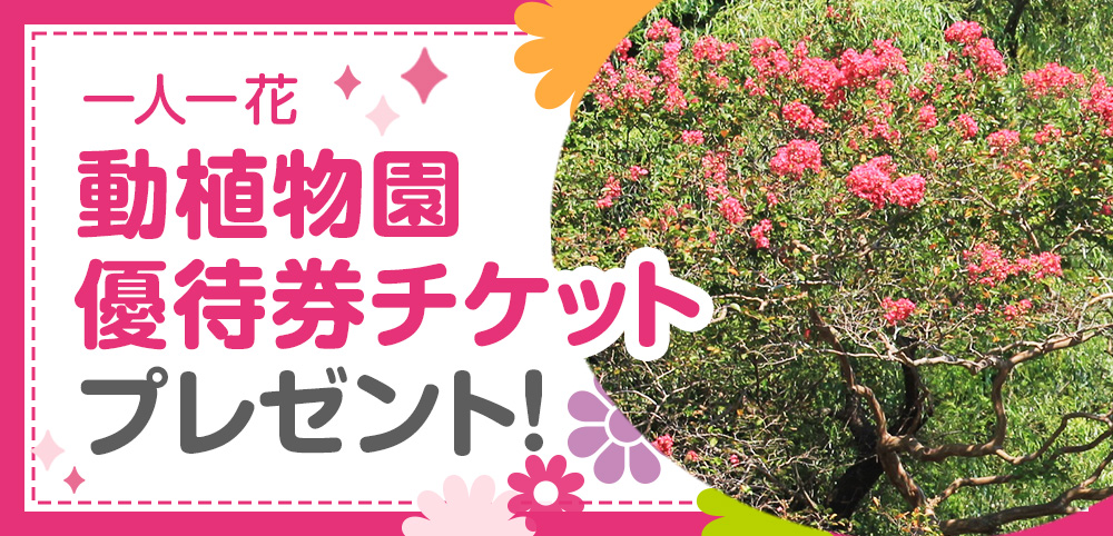 一人一花「動植物園優待券チケット」ペアチケットプレゼント！