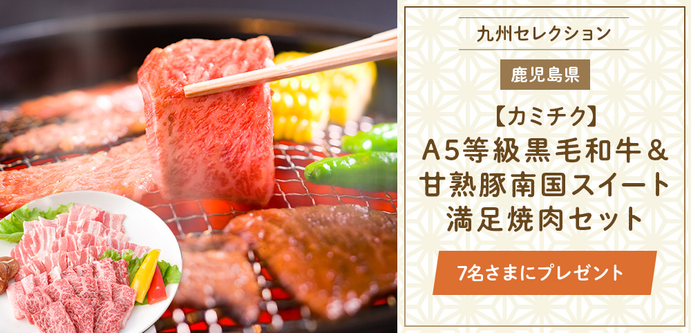 カミチク『A5等級黒毛和牛&甘熟豚南国スイート 満足焼肉セット』