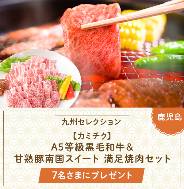 カミチク『A5等級黒毛和牛&甘熟豚南国スイート 満足焼肉セット』