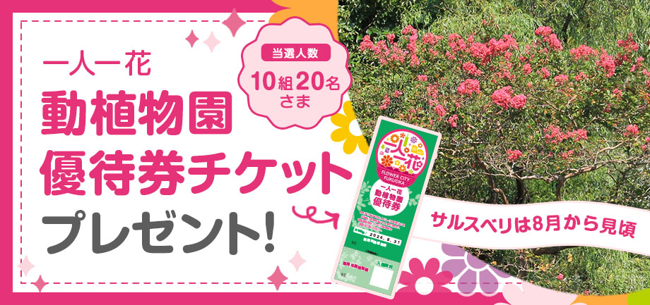 一人一花「動植物園優待券チケット」の宿泊ペアチケットプレゼント！