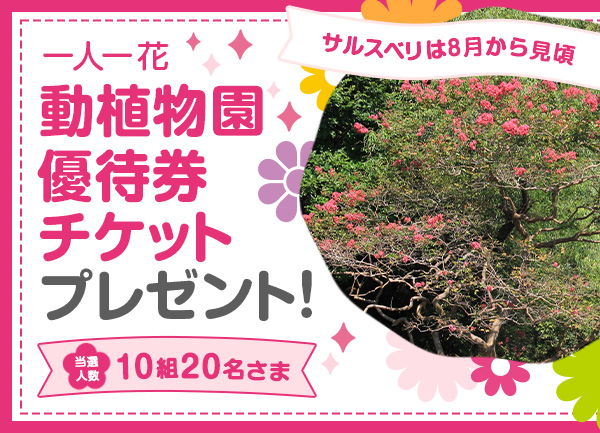 一人一花「動植物園優待券チケット」の宿泊ペアチケットプレゼント！