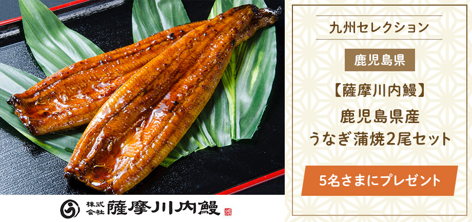鹿児島県産うなぎ蒲焼2尾セット