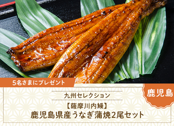鹿児島県産うなぎ蒲焼2尾セット