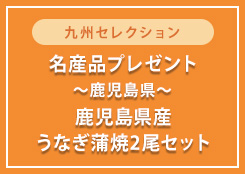 鹿児島県産うなぎ蒲焼2尾セットプレゼント！