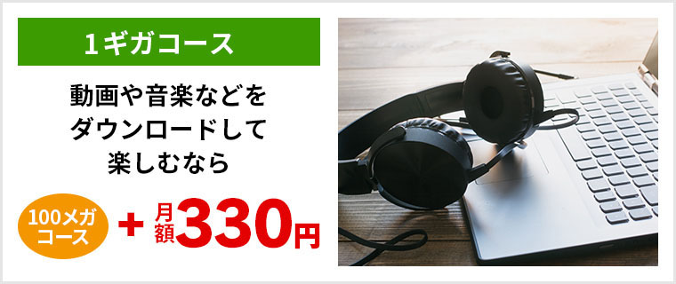 音楽や動画などをダウンロードして楽しむなら100メガコース＋月額330円の1ギガコース