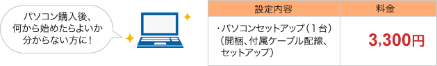 設定内容　パソコンセットアップ（１台）　3,300円