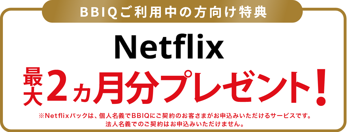 新規申込者向けの特典　Netflixが最大2ヵ月間無料！戸建（ホームタイプ）利用開始後2ヵ月間5,170円/月。※ホームタイプ・ギガコースで「Netflixパック追加割」「BBIQつづけて割」「九電グループまとめてあんしん割」を適用の場合。