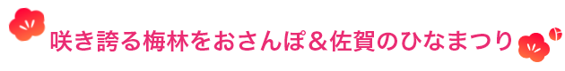 $B:i$-8X$kG_NS$r$*$5$s$]!u:42l$N$R$J$^$D$j(B