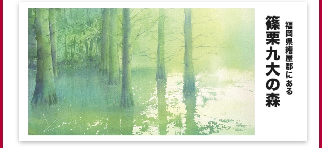 春� 幹太さん作品「福岡県糟屋郡にある篠栗九大の森」