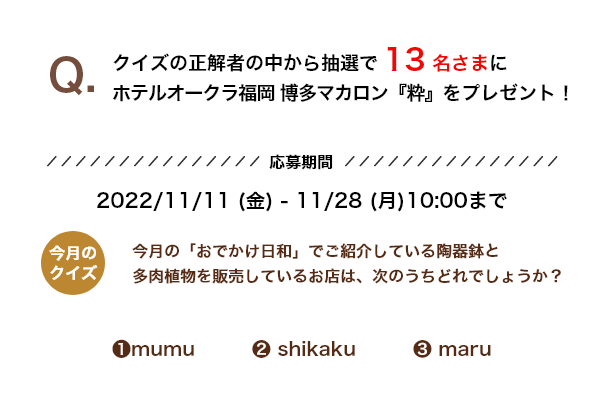 今月の「おでかけ日和」でご紹介している陶器鉢と多肉植物を販売しているお店は、次のうちどれでしょうか？（1）mumu（2）shikaku（3）maru
