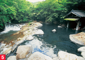 山みず木