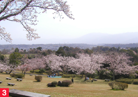 村山公園