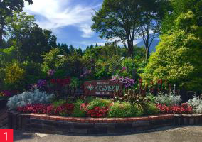 くじゅう花公園