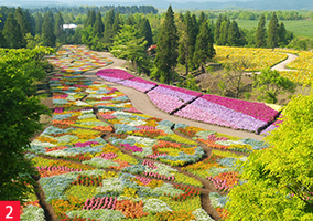 春の七色花祭り