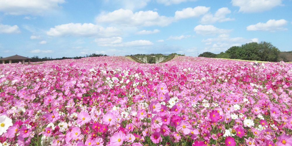 鍋ヶ滝