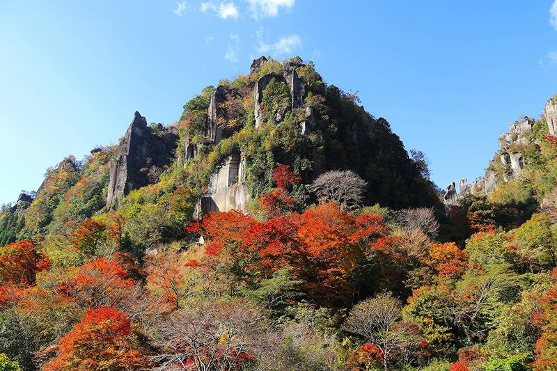 画像：耶馬渓紅葉ライトアップ