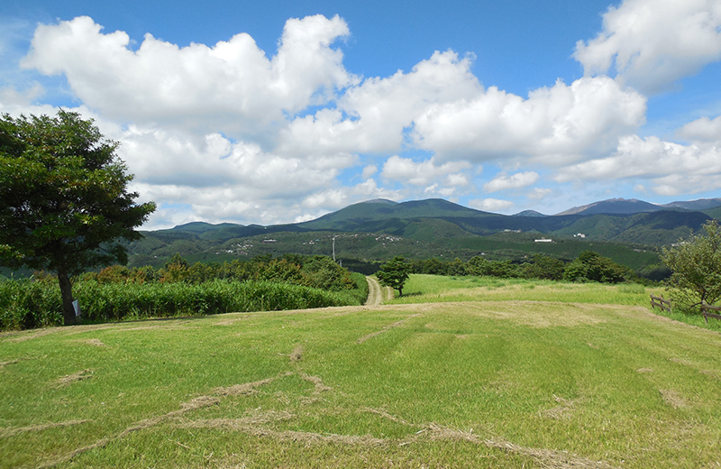 画像:森林セラピーロード(霧島錦江湾国立公園)