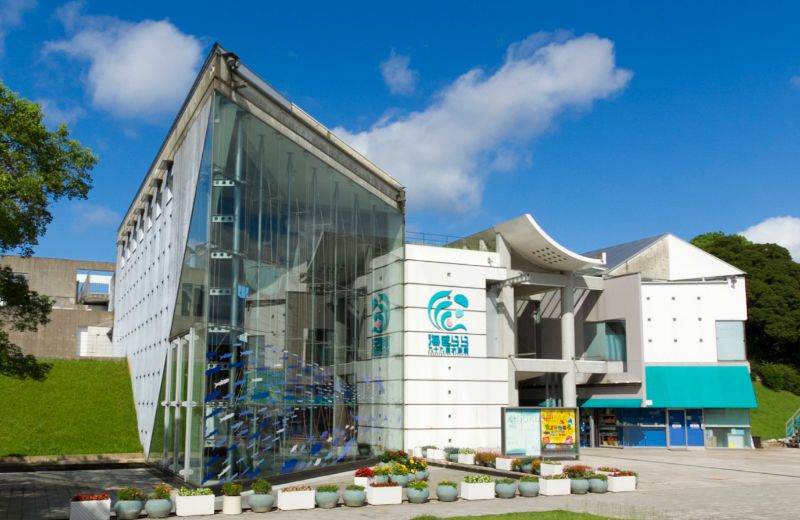 画像:九十九島水族館海きらら