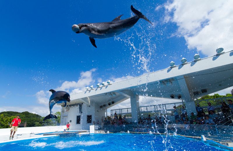画像:九十九島水族館海きらら
