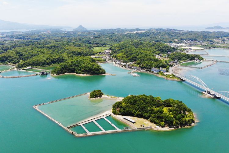画像:上空写真