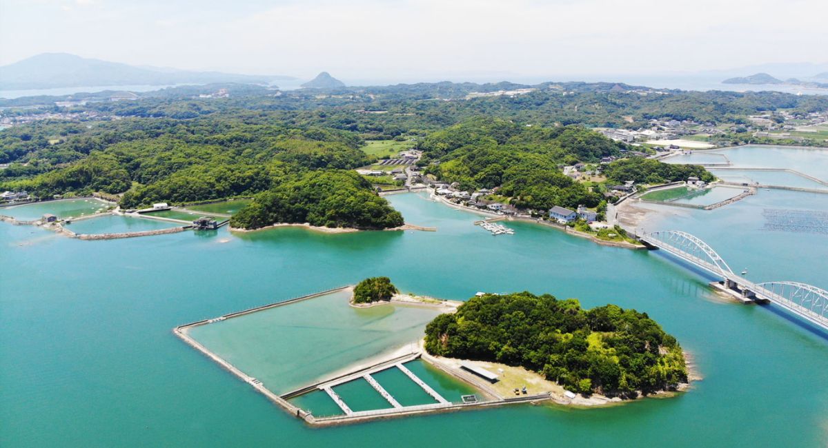 画像:夏休み!家族で行きたいおでかけスポット特集!