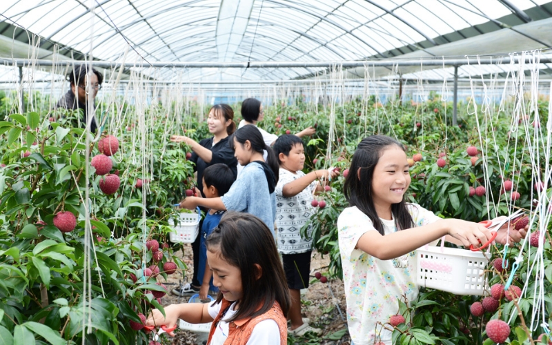 画像:MiKiFARM café GARDEN