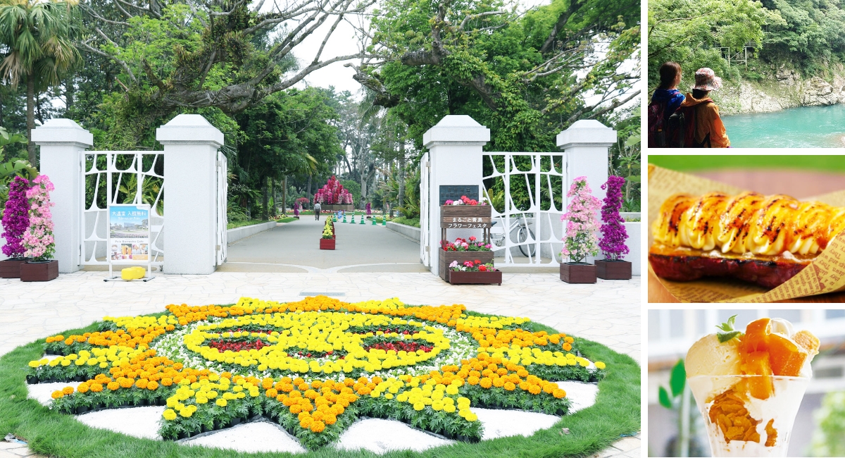 画像:初夏の宮崎、花と果実・自然の楽園へ!