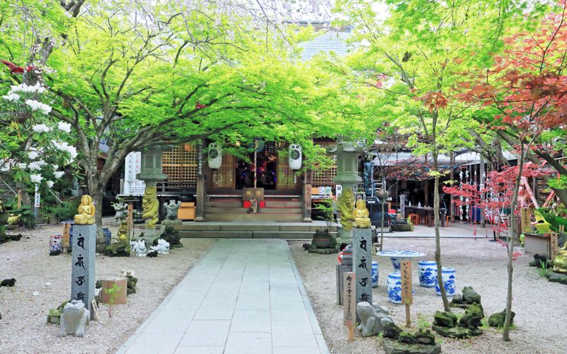 画像:かえる寺(如意輪寺)
