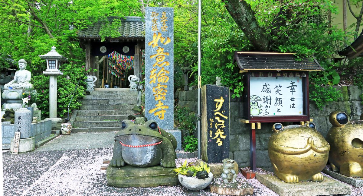 画像:雨音も楽しめる、しっとり大人の寺社巡り