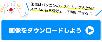 $B2hA|$O%Q%=%3%s$N%G%9%/%H%C%W$NJI;f$d%9%^%[$NBT$A<u$1$H$7$FMxMQ$G$-$k$h!*%@%&%s%m!<%I%Z!<%8$X(B