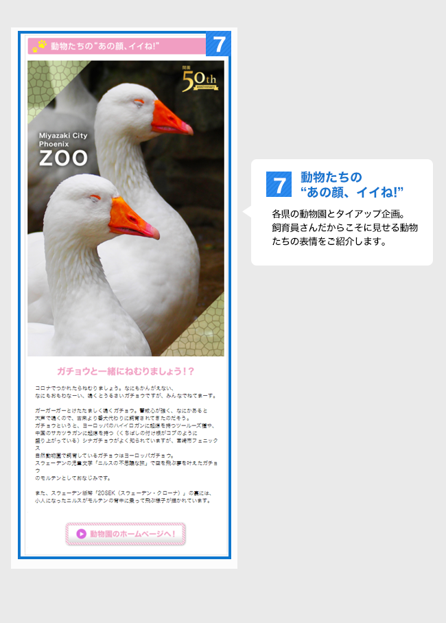 BBIQメールマガジン 会員特典 BBIQをご利用中の方へ BBIQ(ビビック)公式サイト
