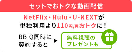 セットでおトクな動画配信