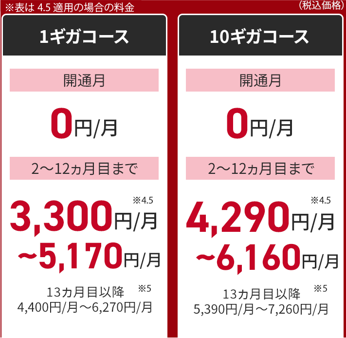 割引料金1ギガコース　2-12ヵ月：3,300円/月～5,170円/月　13ヵ月目以降：4,400円/月～6,270円/月　割引料金10ギガコース　2-12ヵ月：4,290円/月～6,160円/月　13ヵ月目以降：5,390円/月～7,260円/月