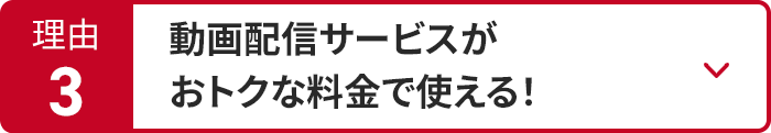 NetFlixなどお得に視聴できるセットオプションが充実