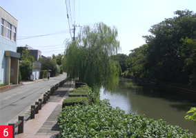 水辺の散歩道