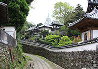 寺院と教会の見える風景