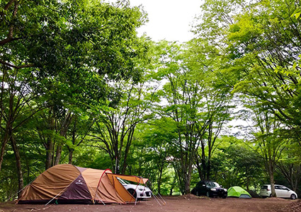 ゆうすい自然の森キャンプ場